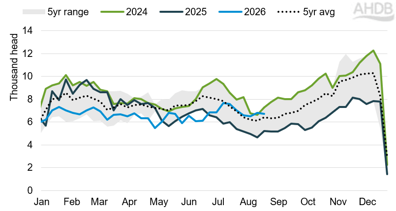 Irish weekly cow kill 2024,2025,2026, and 5 year average and range.